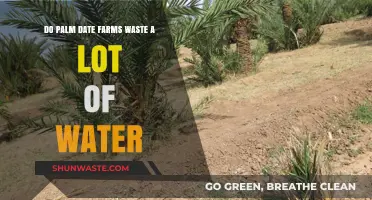 Palm Date Farms: Water Waste or Sustainable Practice?