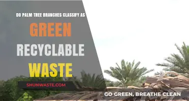 Are Palm Tree Branches Considered Green Recyclable Waste?