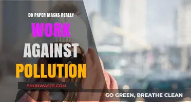 Paper Masks: Effective Pollution Protection?