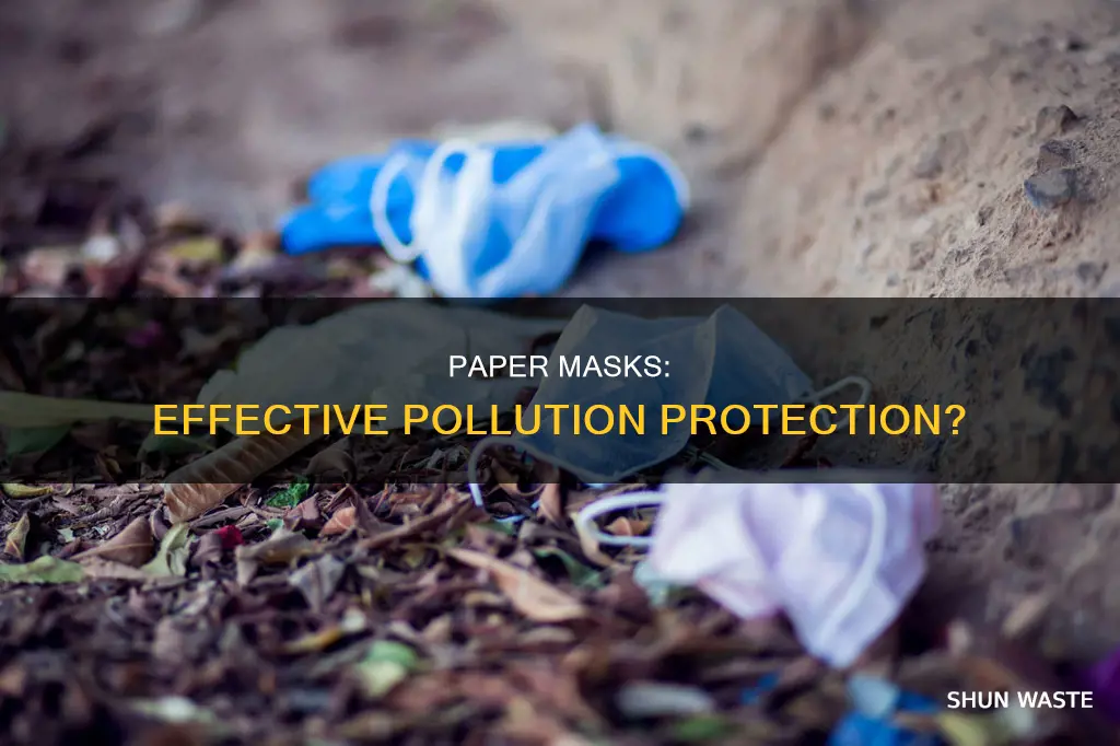 do paper masks really work against pollution