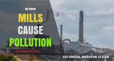 Paper Mills and Pollution: Unveiling the Environmental Impact