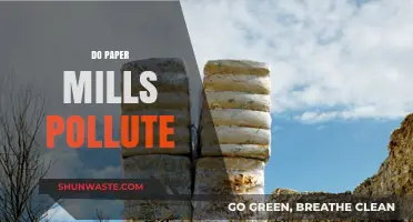 Paper Mills: Environmental Impact and Pollution Concerns