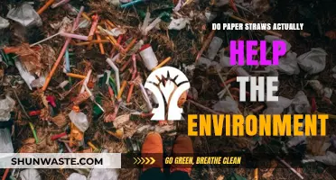 Paper Straws vs. Plastic: Are They Truly Eco-Friendly?