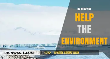 How Penguins Contribute to Ecosystem Balance and Environmental Health