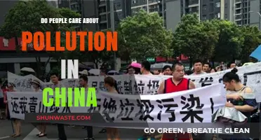 China's Pollution Crisis: Who Cares?