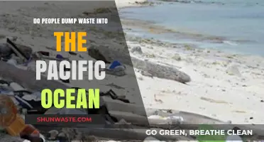Pacific Ocean Pollution: Uncovering the Truth About Waste Dumping
