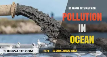 Ocean Pollution: Who's Responsible and Who's Getting Away?
