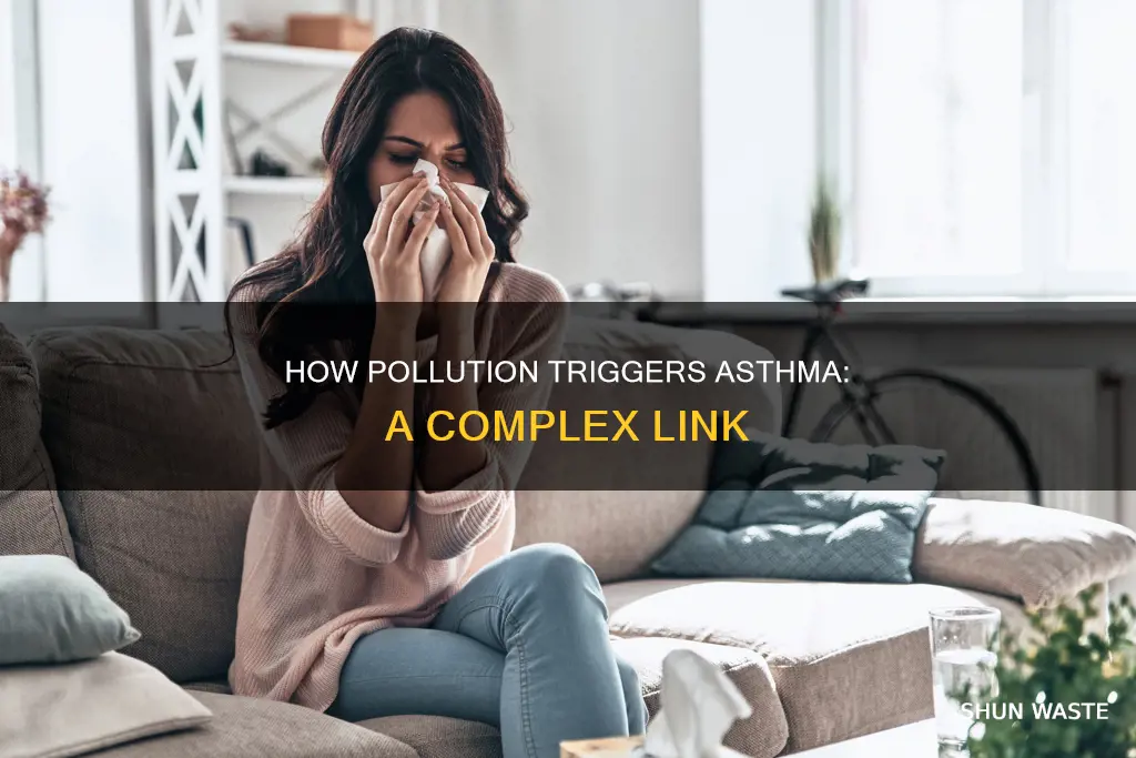 do people have asthma because of pollution