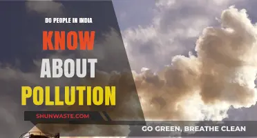 Understanding India's Awareness of Pollution