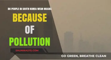 South Korea's Mask Culture: Pollution or Fashion?