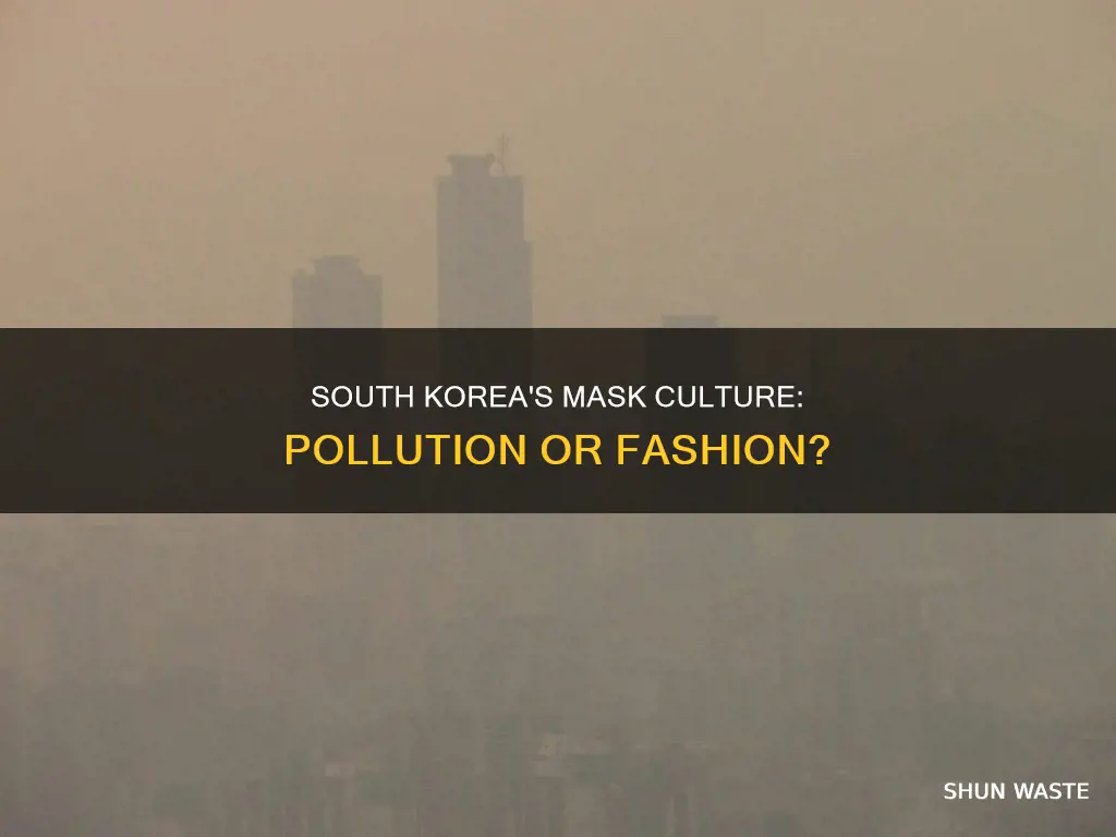 do people in south korea wear masks because of pollution