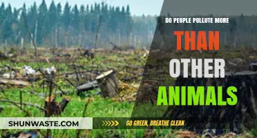 Human Impact: Pollution and Our Natural World