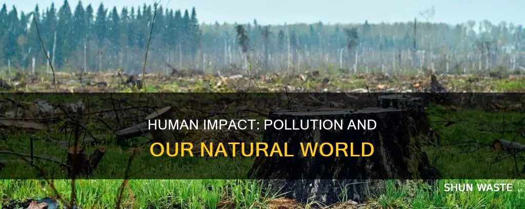 do people pollute more than other animals