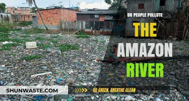 Amazon River: Polluted by Human Activity?