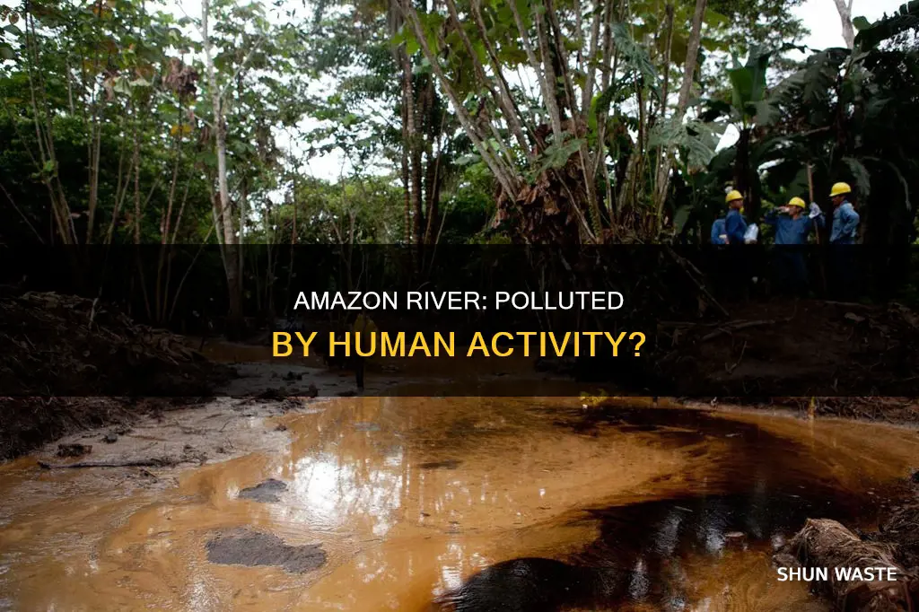 do people pollute the amazon river