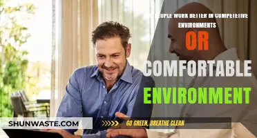 Competition vs. Comfort: Which Environment Boosts Productivity Best?