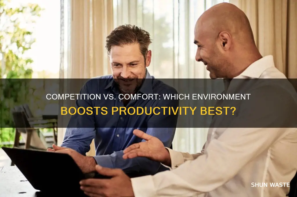 do people work better in competetive environments or comfortable environments