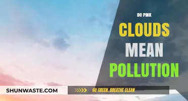 Pink Clouds: Pollution or Nature's Beauty?
