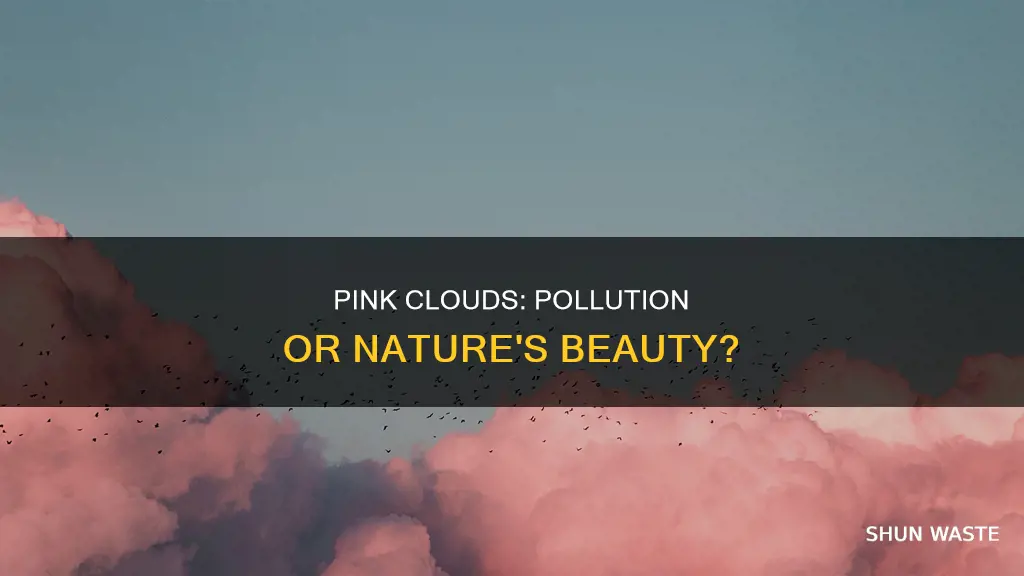 do pink clouds mean pollution