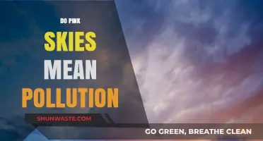 Pink Skies: Pollution's Surprising Sign?