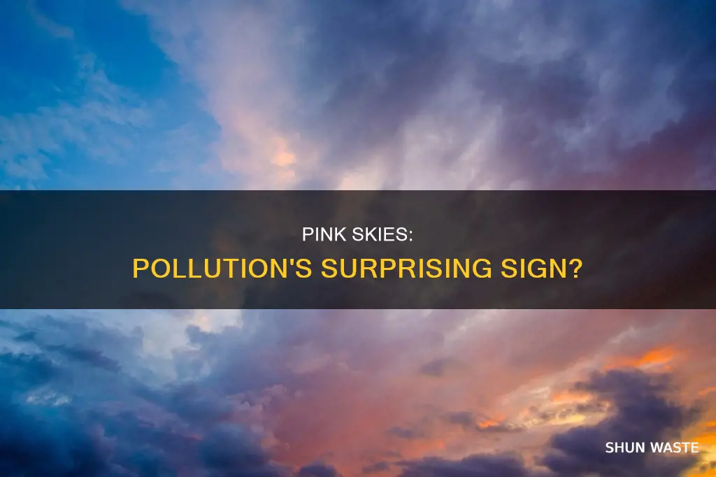 do pink skies mean pollution