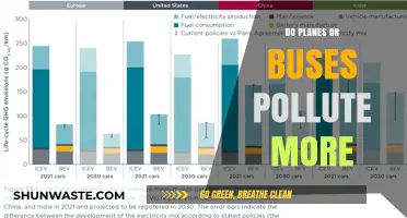Planes vs Buses: Who's the Bigger Polluter?