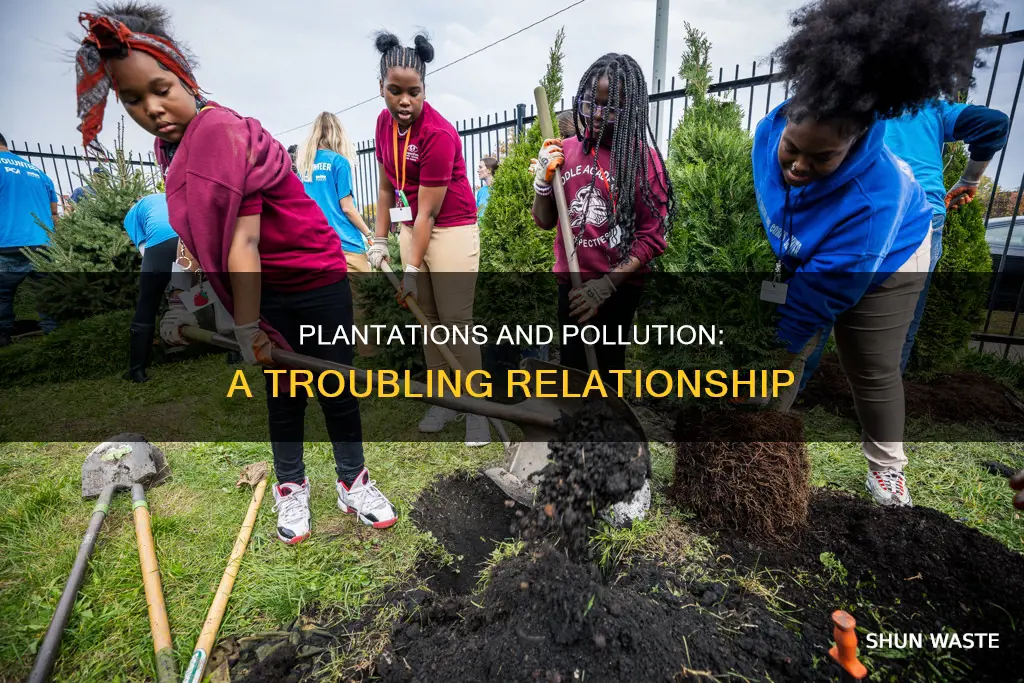do plantations make more pollutants
