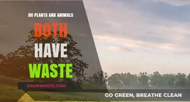 Exploring Waste in Nature: Do Plants and Animals Both Have Waste?