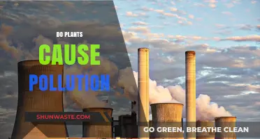 Greenhouse Gases: Do Plants Pollute or Purify?