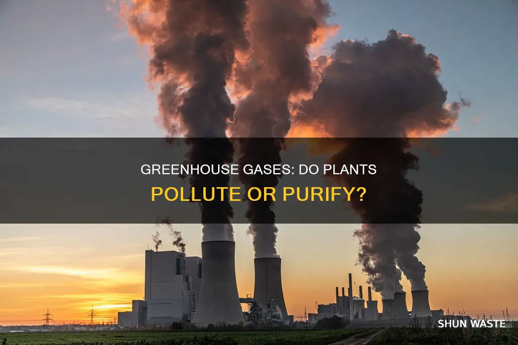 do plants cause pollution