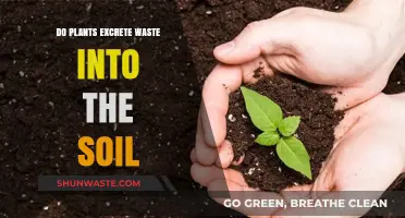 How Plants Dispose of Waste: Soil Excretion Explained