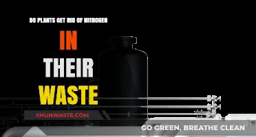 How Plants Manage Nitrogen Waste: Unveiling Their Natural Recycling Process