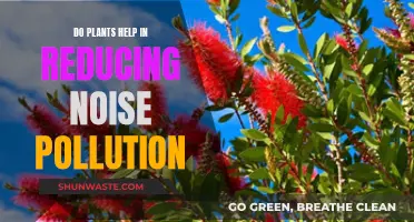 Plants: Natural Noise Pollution Reducers?