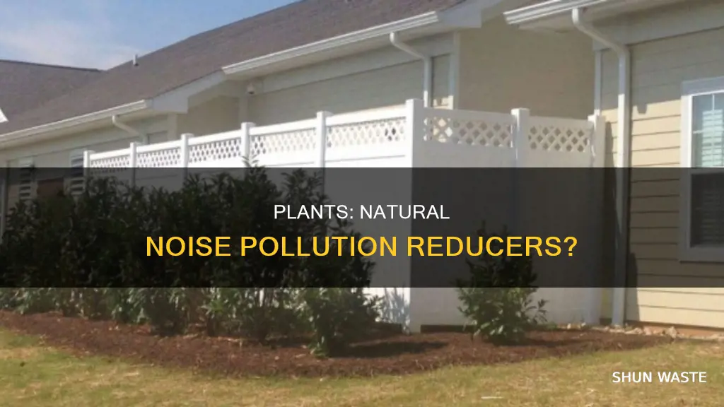 do plants help in reducing noise pollution