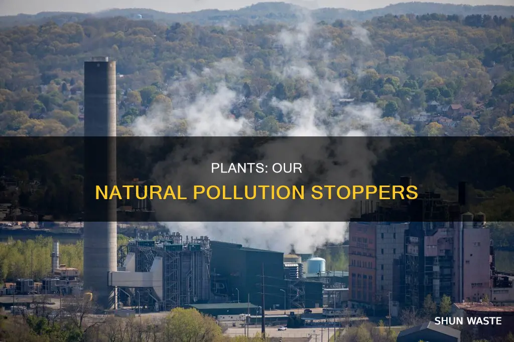 do plants help stop pollution