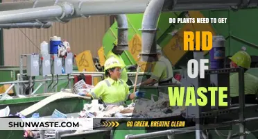 How Plants Manage and Eliminate Waste: A Green Survival Guide