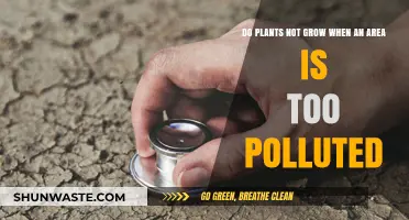 How Pollution Impacts Plant Growth