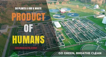 How Plants Thrive on Human Waste: A Surprising Symbiotic Relationship