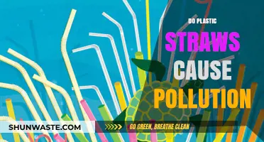 Plastic Straws: Environmental Impact and Sustainable Alternatives