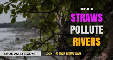 Plastic Straws: Rivers' Bane or Boon?