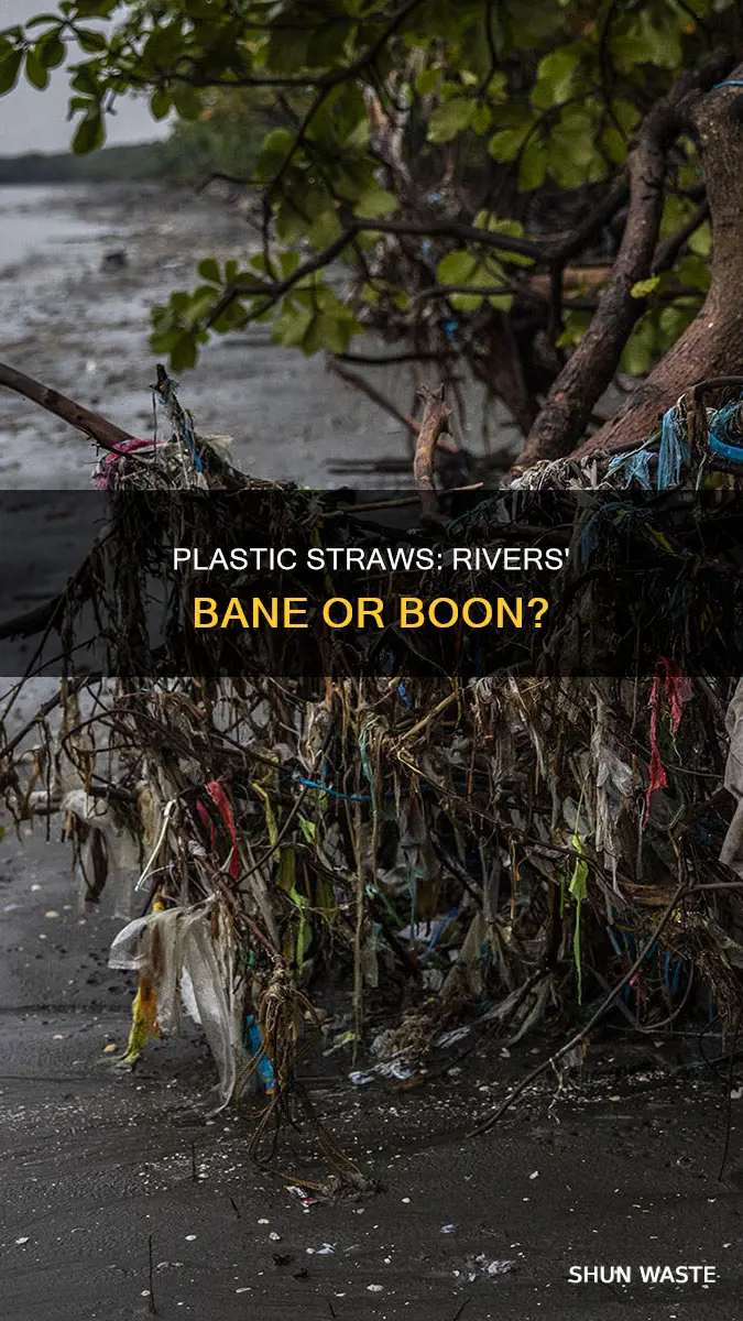 do plastic straws pollute rivers