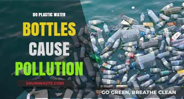 Plastic Bottles: Environmental Impact and Sustainable Alternatives