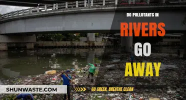 River Pollution: Can Contaminants Disappear?