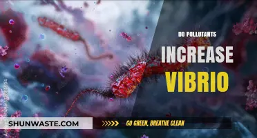 Climate Change and the Rise of Vibrio