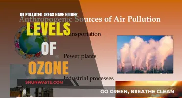 Ozone Pollution: A Hazardous Reality for Urban Areas?