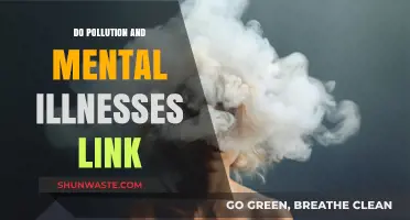 Pollution's Mental Health Impact: Understanding the Link