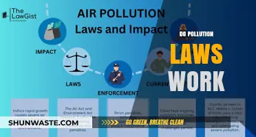 Pollution Laws: Effective or Futile?