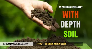 Soil Pollution: Depth and Contamination Levels