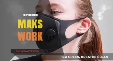 Do Pollution Masks Really Work?