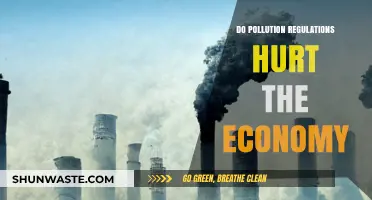 Pollution Regulations: Economic Growth or Decline?